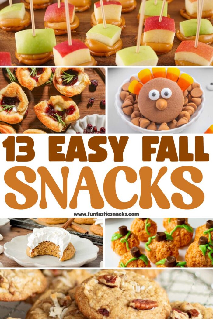 13 Festive Fall Treats and Snacks for Autumn Season - Funtastic Snacks