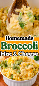 cheesy pasta dinner ideas