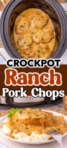 crockpot pork chops easy