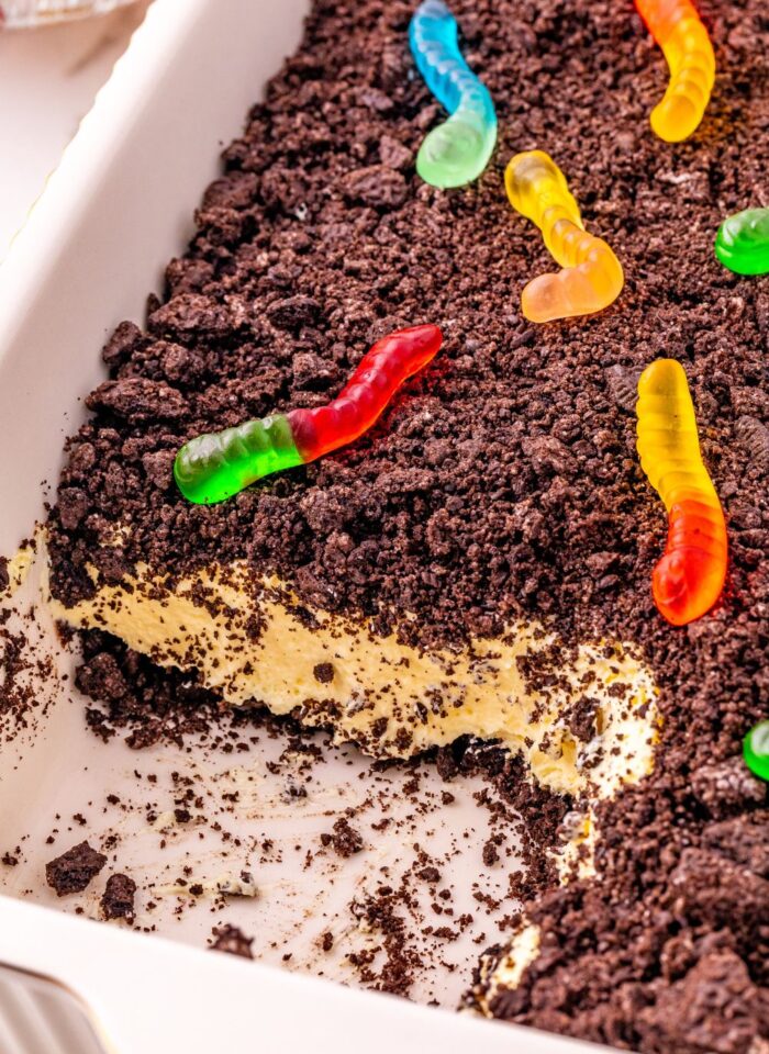 Dirt Cake