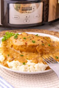 slow cooker pork chops