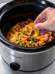slow cooker dips