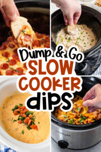 slow cooker dips