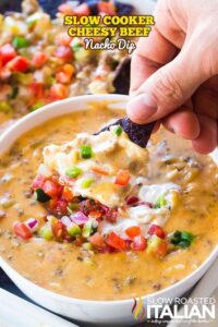 slow cooker dips