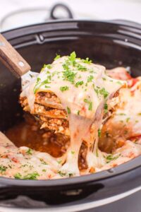 slow cooker recipes