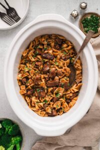 autumn slow cooker recipes