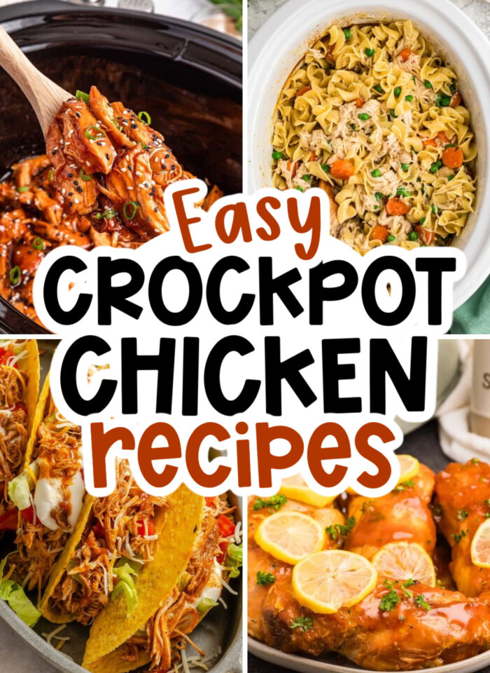 15 Dump and Go Crockpot Chicken Recipes for Lazy Dinners
