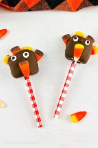 turkey treats